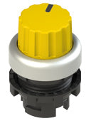 Pizzato E2 1SL42EVD59AB