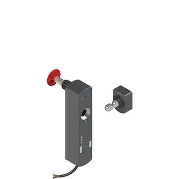 Pizzato NS D4CE1SA2-F41LP30