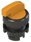 Pizzato E2 1SL23FCH81AB