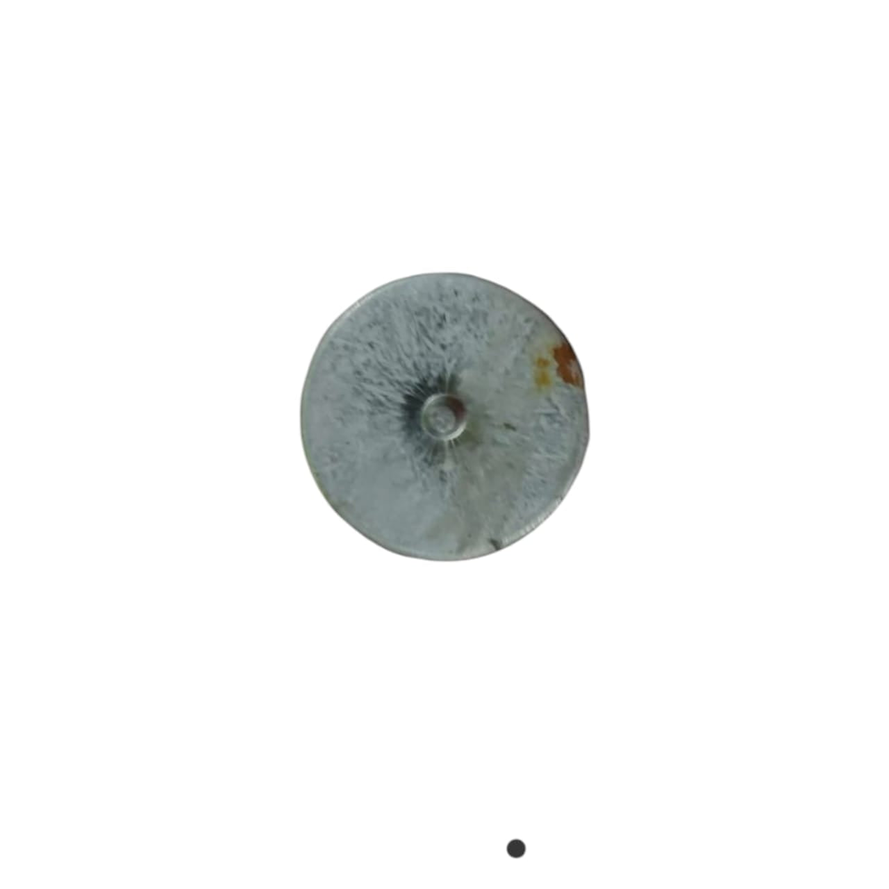 EPCOS PHICAP B32344E4202 A080