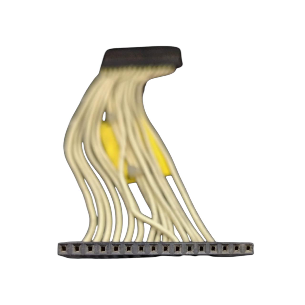 Rexroth Indramat Bus In 175/0155 244830 cable de conexión