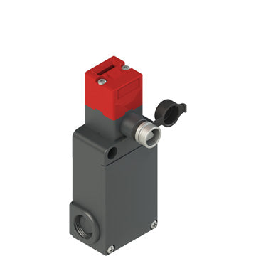 Pizzato FS 2898D024-M2V73