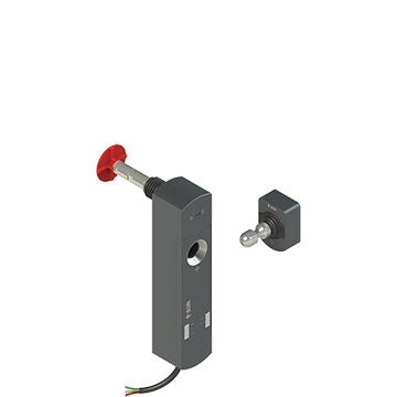Pizzato NS D4CE1SB10-F40LP50
