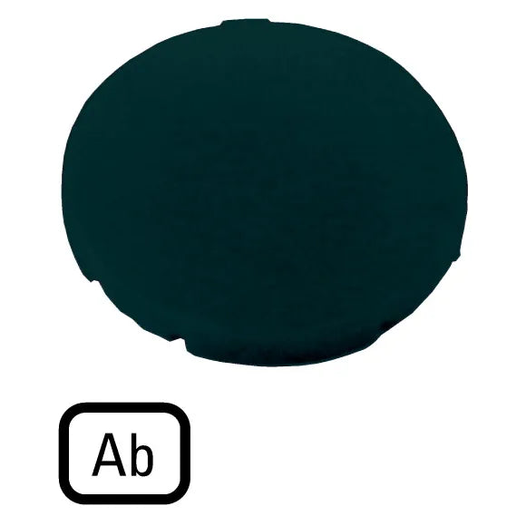 M22-XD-S-D4 RMQ-Titan Placa para Botón diseño-Plano color Negro -AB-