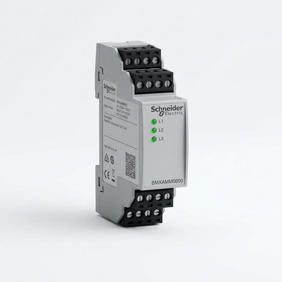 Schneider Electric BMXAMM0600