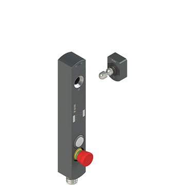 Pizzato NS D4AZ1STK-F41N146