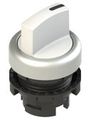 Pizzato E2 1SL13GCH29AB