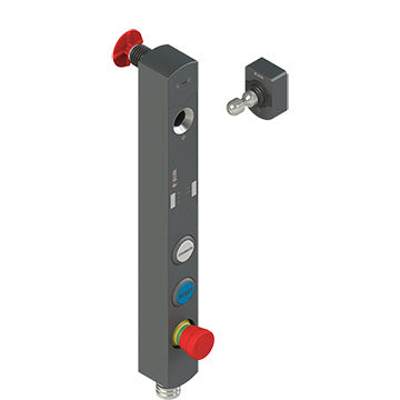 Pizzato NS D4CE1STK-F41N302