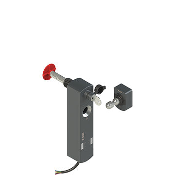 Pizzato NS D4SE1SA2-F41LP50
