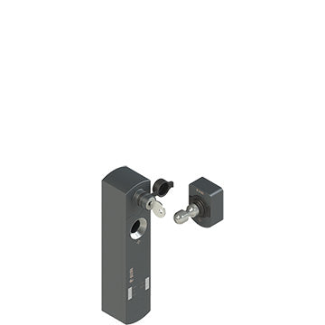 Pizzato NS D3ST1DMK-F40