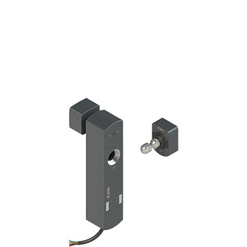 Pizzato NS D4CR1SA1-F41