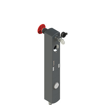 Pizzato NS D4SE1SRK-N111