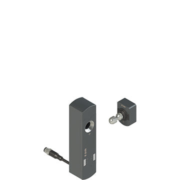 Pizzato NS E4ZZ1DM0.2-F41