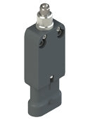 Pizzato NF B110GB-SAK