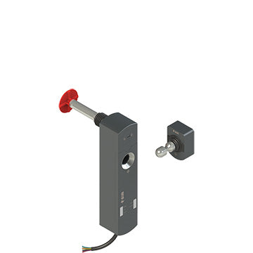 Pizzato NS D4CE1SA10-F41LP60