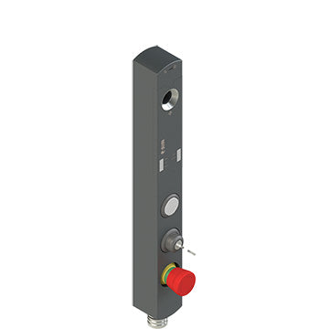 Pizzato NS D4AZ1STK-N318