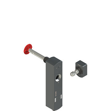 Pizzato NS D4CE1SMK-F41LP80