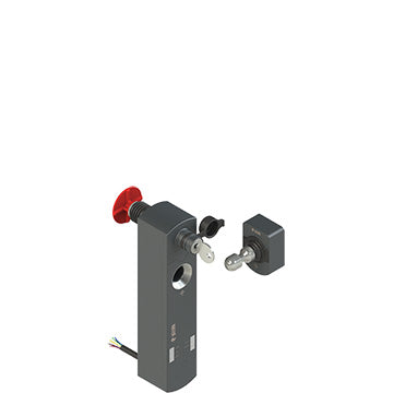 Pizzato NS D4SE1DB10-F41