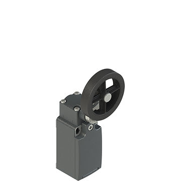 Pizzato FR 2054-M2R26