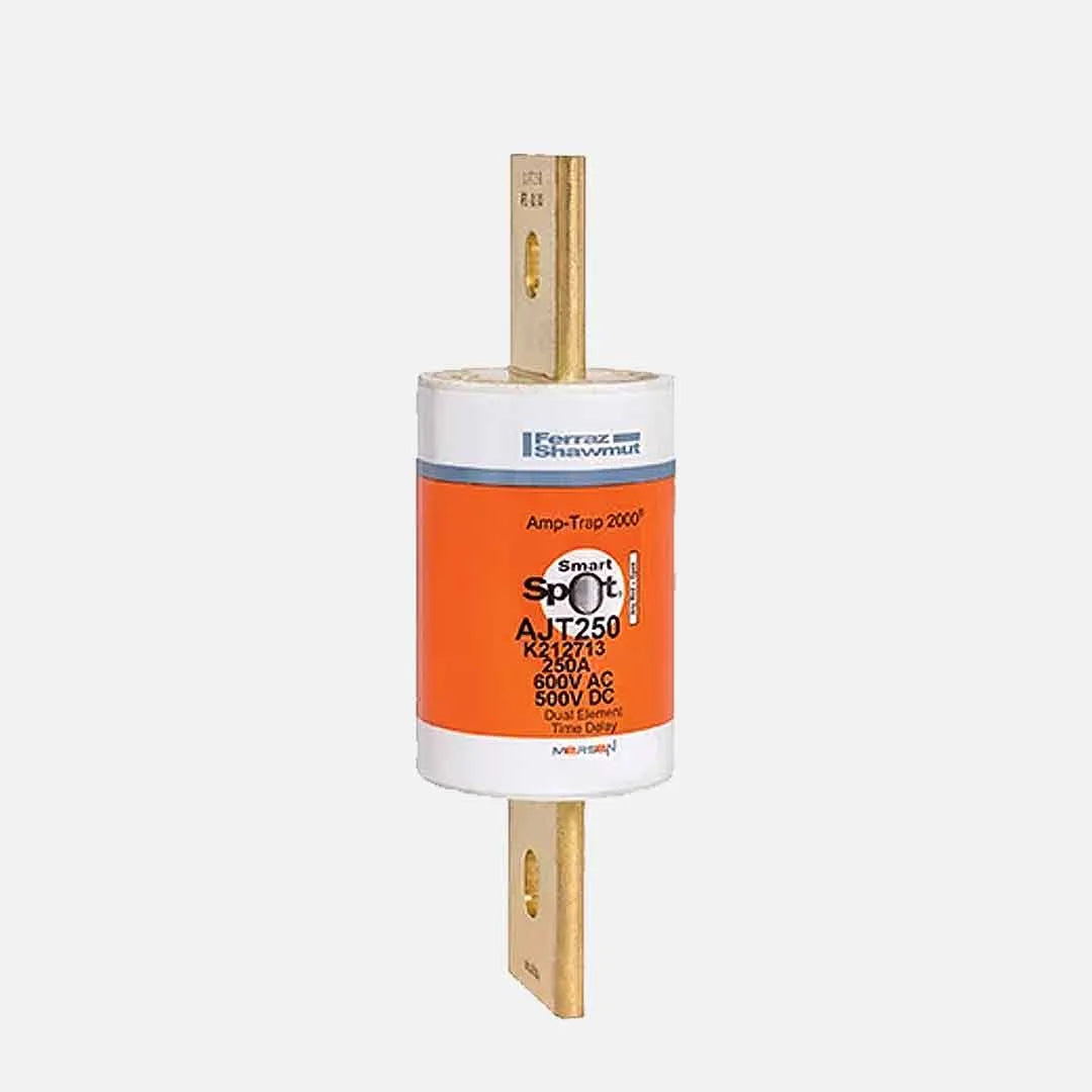 Fusible acción retardada Clase J 250A 600V 200kA