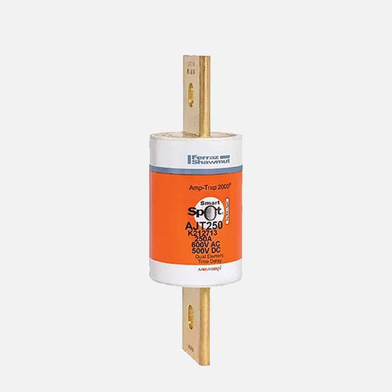 Fusible acción retardada Clase J 250A 600V 200kA