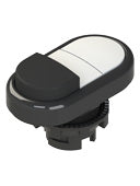 Pizzato E2 1PDSL10221