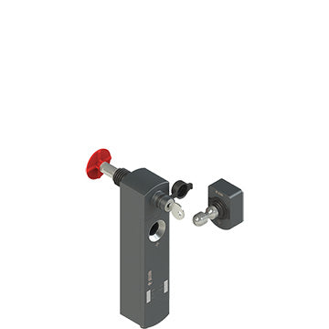 Pizzato NS D4SE1SMK-F41LP30