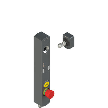 Pizzato NS D4AZ1SRK-F41N181
