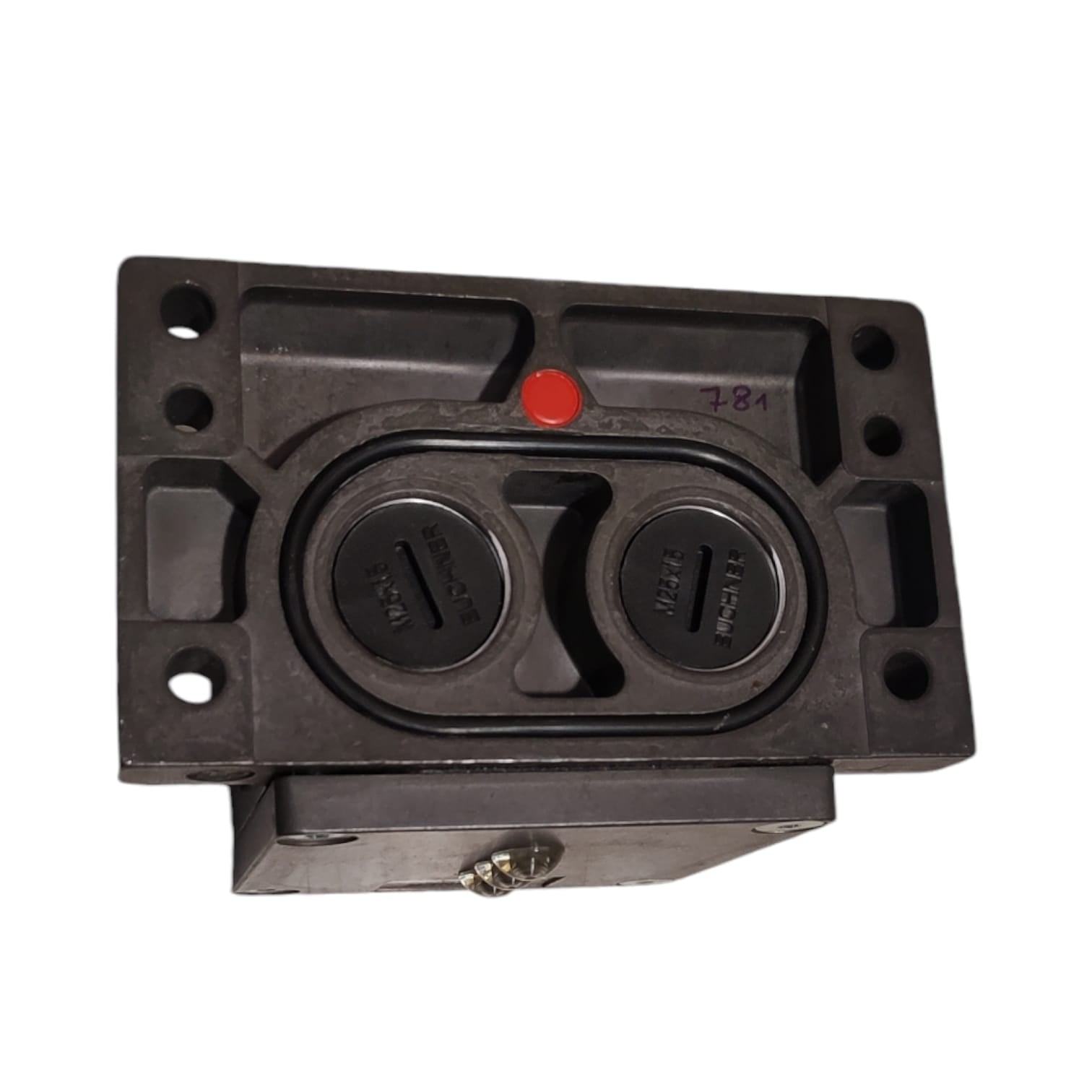 Euchner RGBF03X12-781L-M