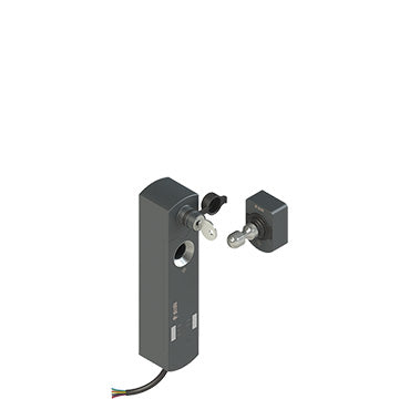 Pizzato NS D4ST1SA2-F40