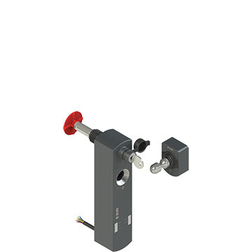 Pizzato NS D4SE1DA10-F40LP40