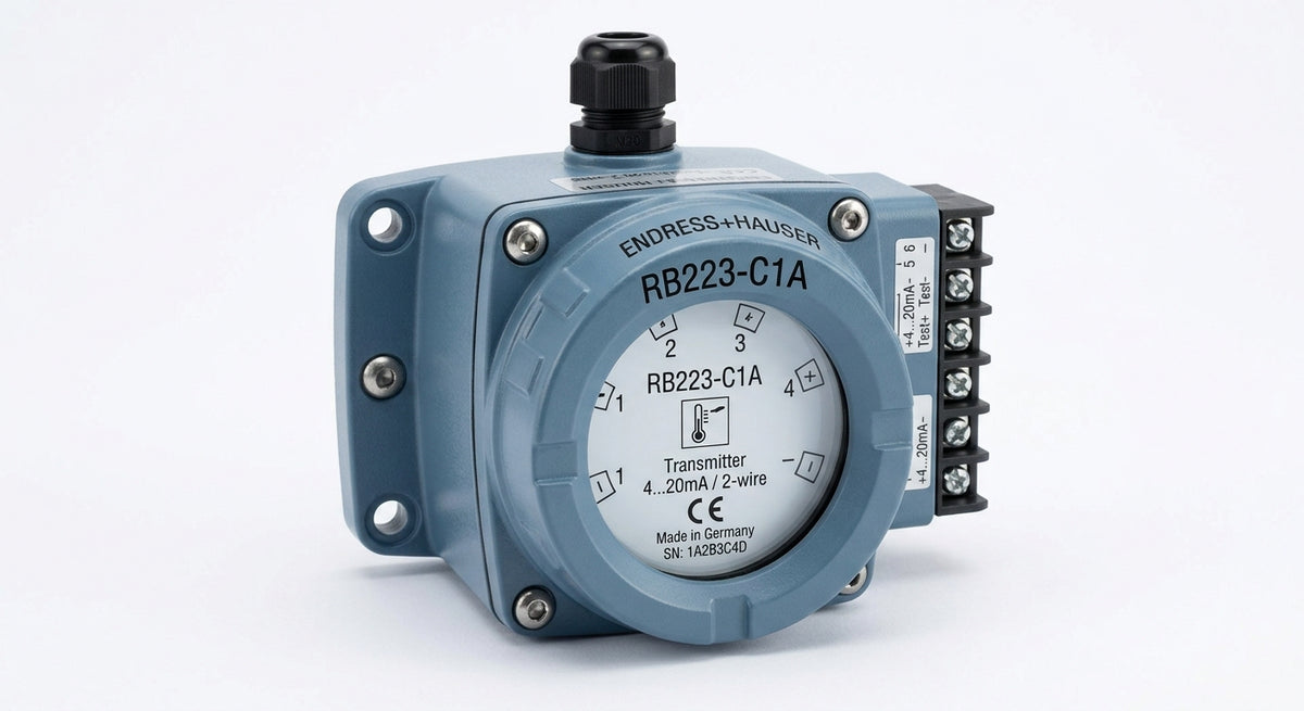 ENDRESS+HAUSER RB223-C1A