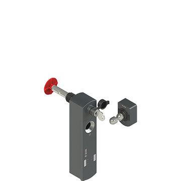 Pizzato NS D3SE1SMK-F41LP50