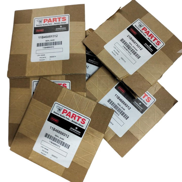 EMERSON FISHER RV150X00M22 Kit