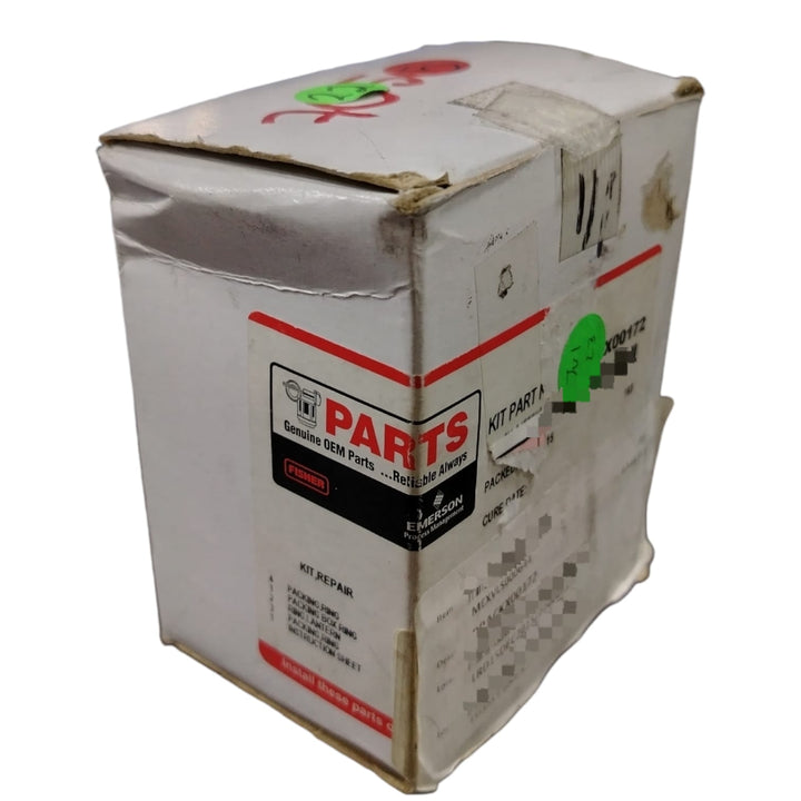 EMERSON FISHER RPACKX00172 Kit