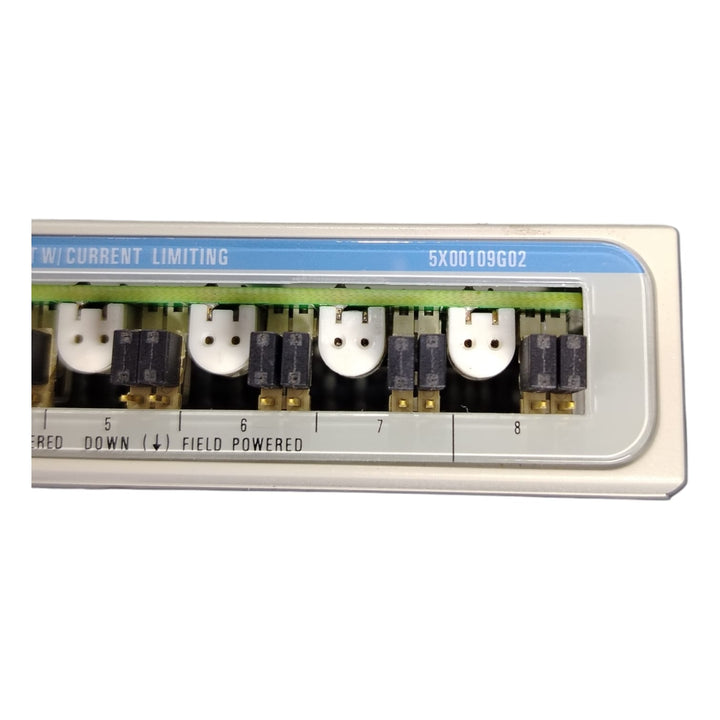 Emerson Ovation 5X00109G02 Módulo de entrada analógica