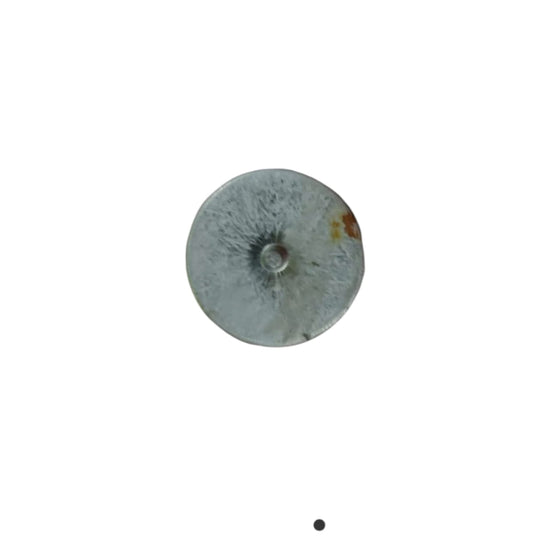 EPCOS PHICAP B32344E4202 A080