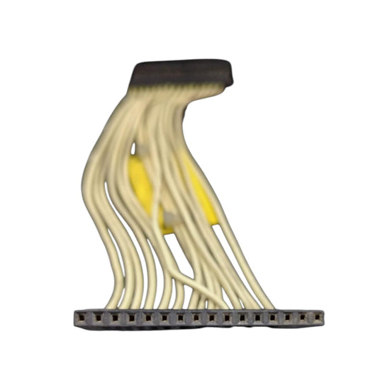 Rexroth Indramat Bus In 175/0155 244830 cable de conexión