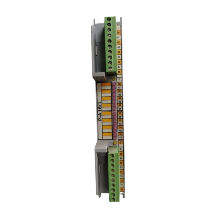 Schleicher P-e16/1 módulo de entrada digital