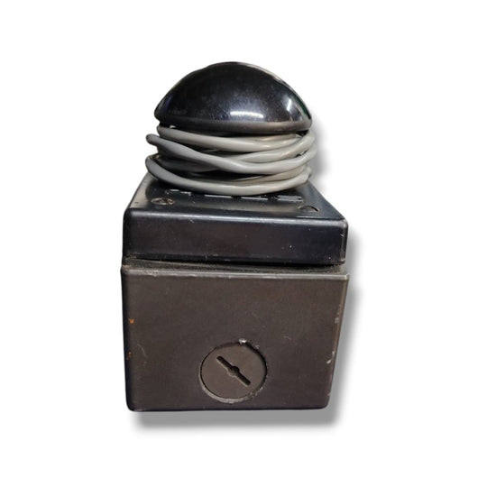 REES PUNGLER 00662-001 INTERRUPTOR PULSADOR TIPO HOGO