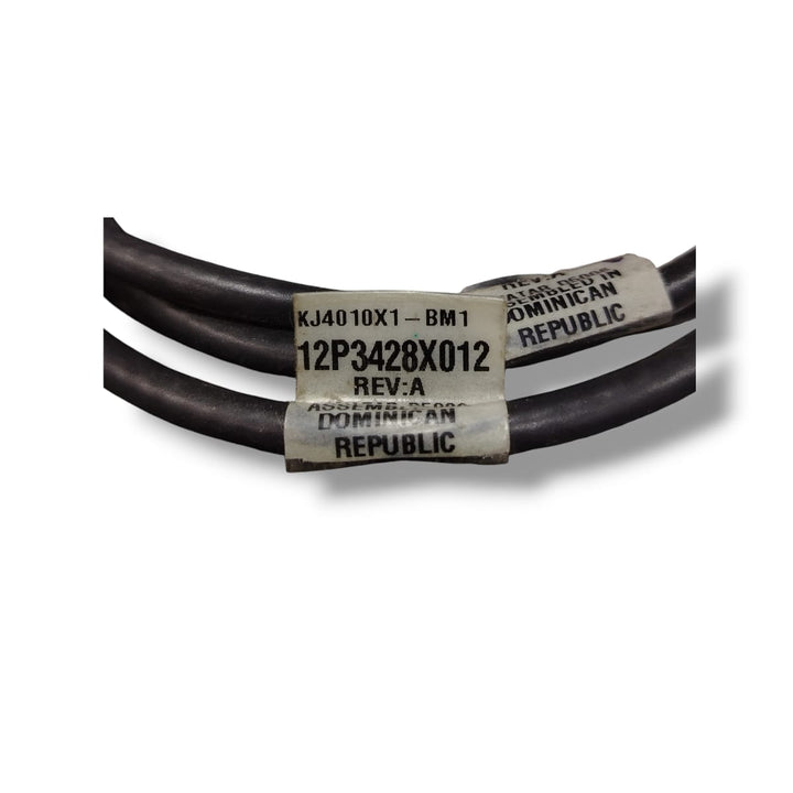 EMERSON KJ4010X1-BM1 CABLE ENSABLADO