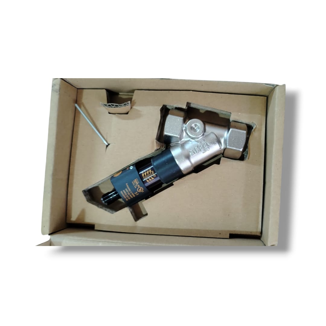 IFM SBN333
