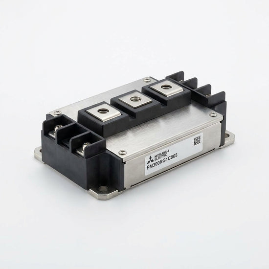 Mitsubishi Electric PM300RG1C065