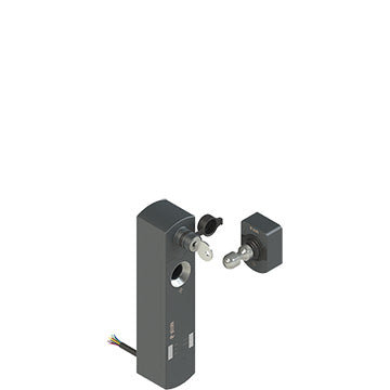 Pizzato NS D4ST1DA10-F41