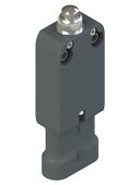 Pizzato NF B110AB-SAK