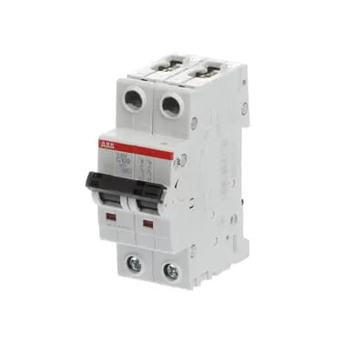 S202-C100 Interruptor termomagnetico 2 Polos 100A Curva C 480VCA 6KA Montaje DIN