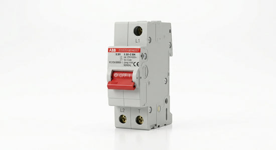ABB 2CDS251001R0557