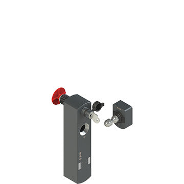 Pizzato NS D3SE1DPK-F41