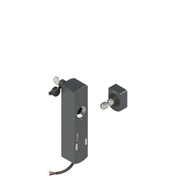 Pizzato NS D4ST1SA2-F41H0