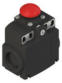 Pizzato FX 2114-M2